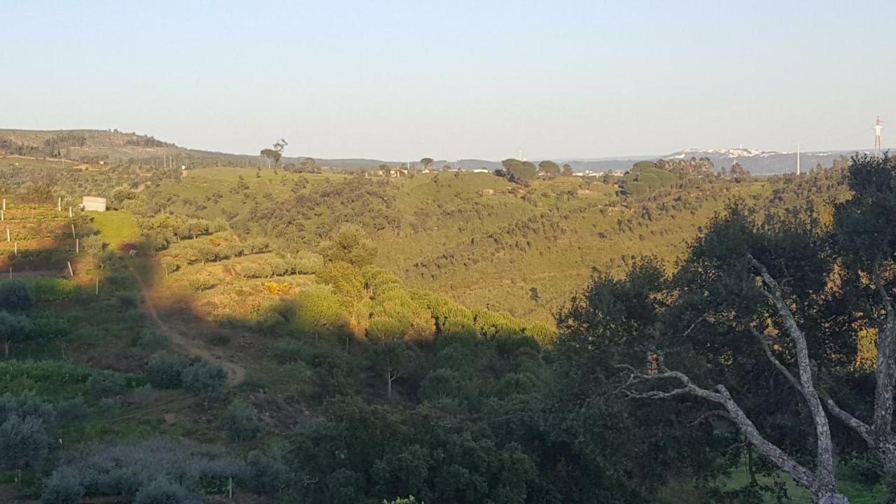 Quinta Do Caneiro - Casa Turismo Rural Constância Exteriör bild