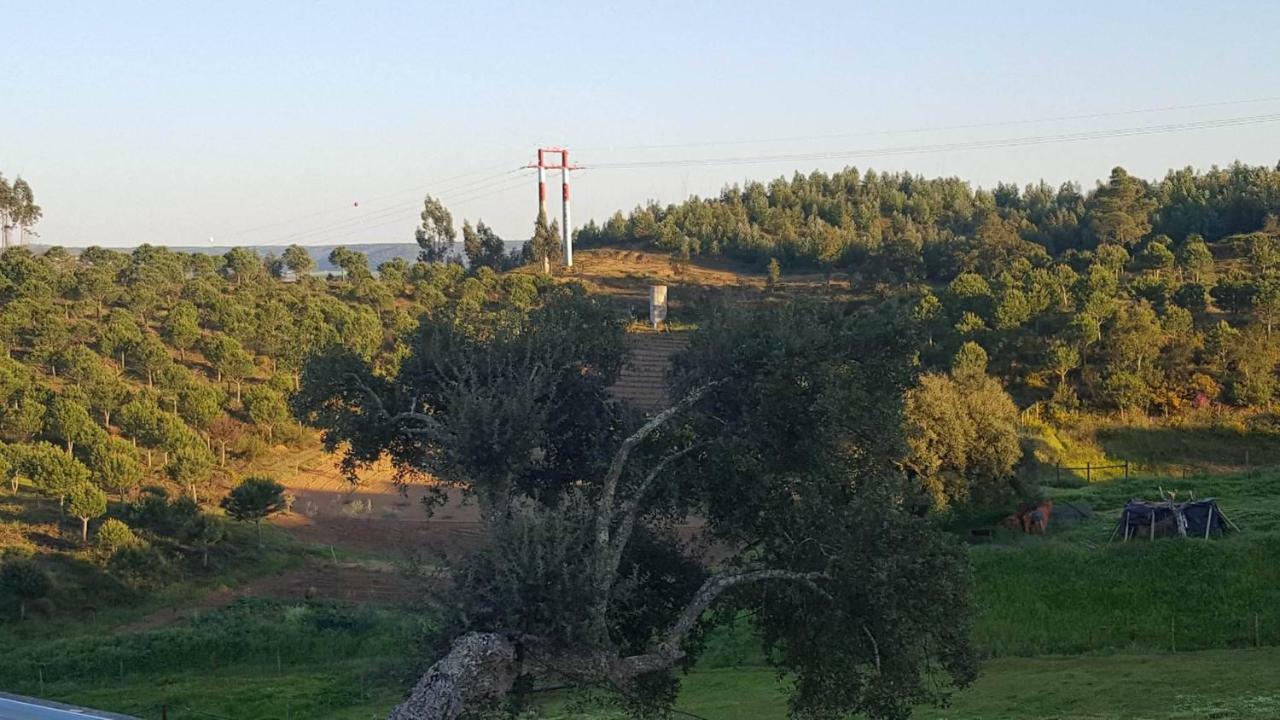 Quinta Do Caneiro - Casa Turismo Rural Constância Exteriör bild